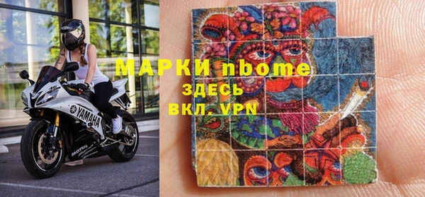 стафф Новодвинск